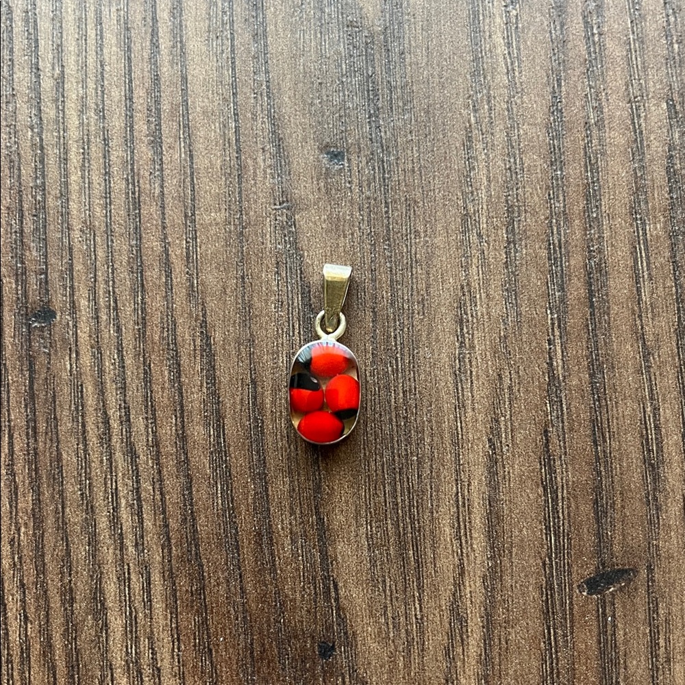 🌸Closet Clean Out🌸 Peruvian Huayruro Seed Necklace Charm